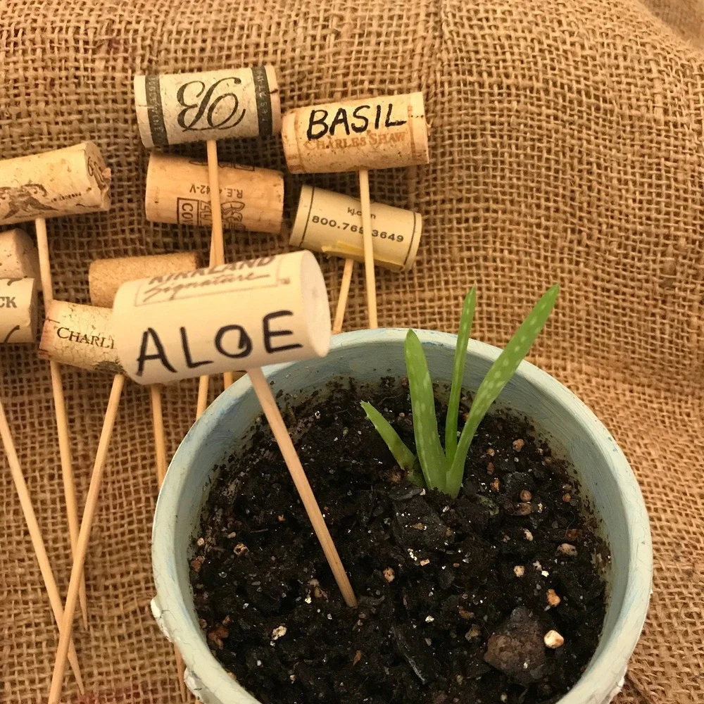 Plant‎ Markers, Herb Labels, Garden Seed Markers, Cute Plant Labels, Set of Five